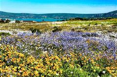 Yachting in Langebaan