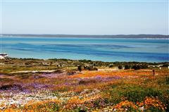 Ski boat trips in Langebaan