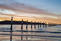 Ski boat trips in Langebaan
