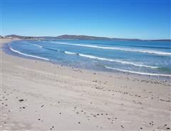 Fishing in Langebaan